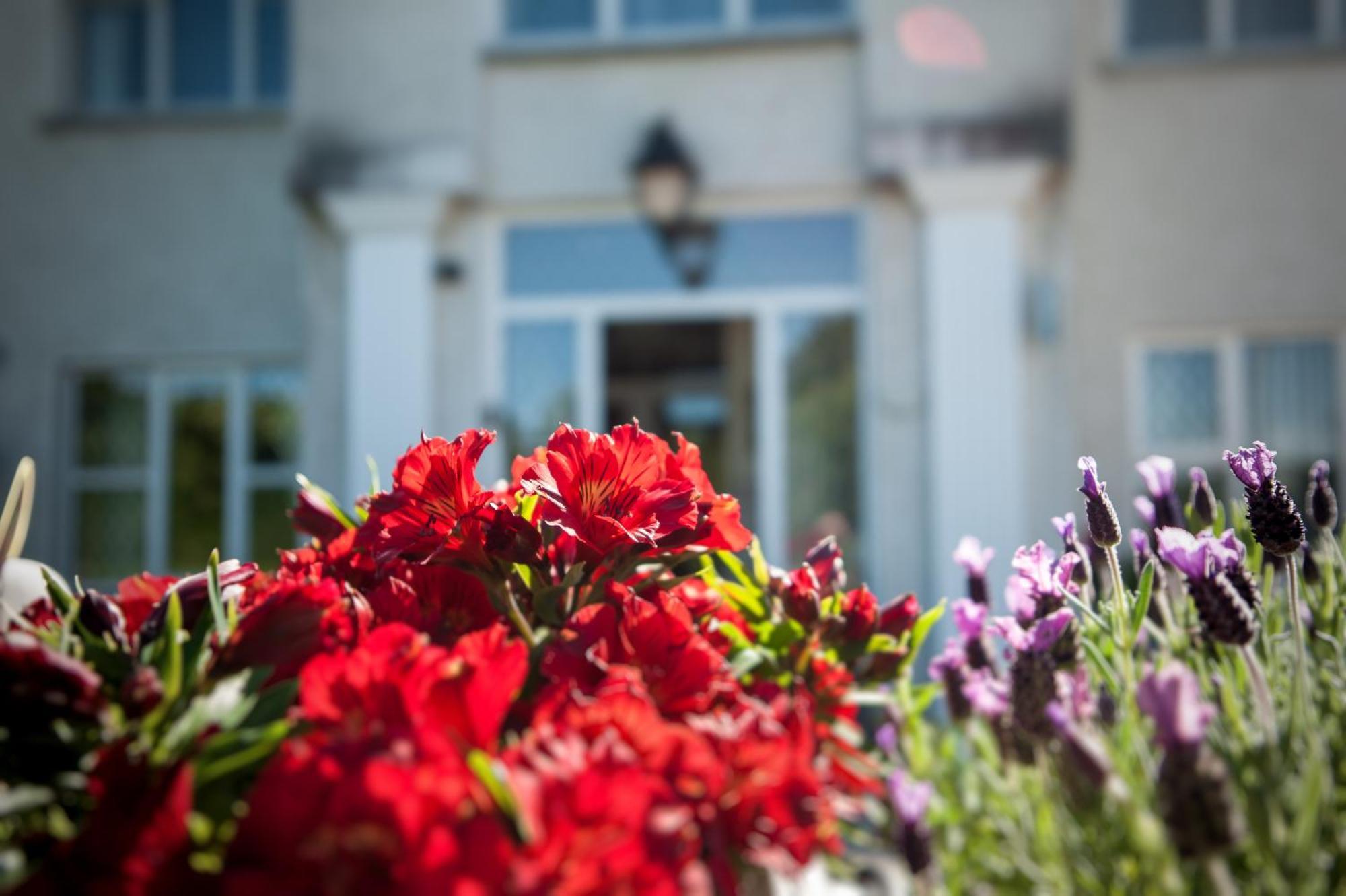 Grove House Bed & Breakfast Карлінгфорд Екстер'єр фото
